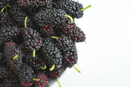 Fresh mulberries, healthy food