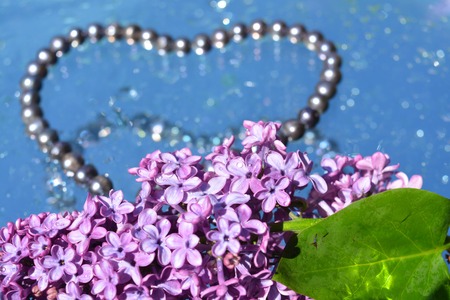 Beautiful lilacs  and pearls reflected in waterの写真素材