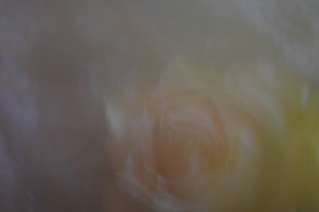Abstract background, flowersの写真素材