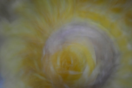 Abstract background, flowers