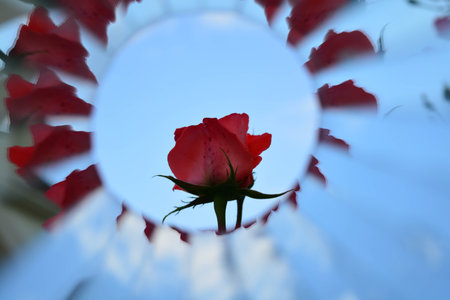 Natural background, kaleidoscope effectの写真素材