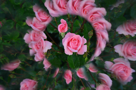 Natural background, kaleidoscope effectの写真素材