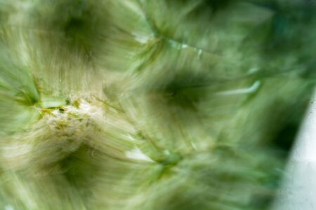 Natural background, kaleidoscope effectの写真素材