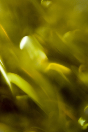 abstract  backgroundの写真素材