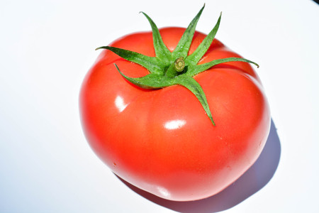 Fresh tomatoesの写真素材