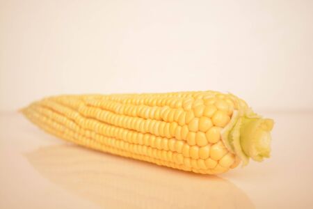 Fresh corn on white backgroundの写真素材