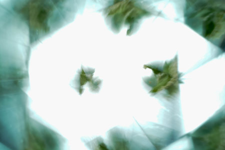 Natural background, kaleidoscope effect