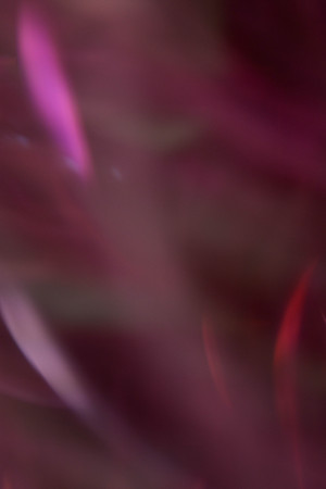 abstract  backgroundの写真素材