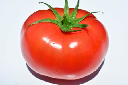Fresh tomatoesの写真素材