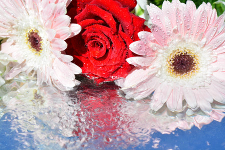 Flowers reflected in water
