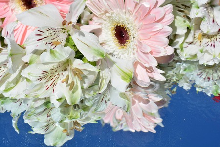 Flowers reflected in waterの写真素材