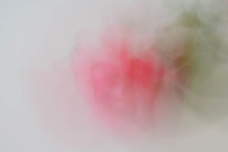 Abstract background, flowersの写真素材