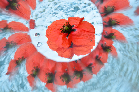 Natural background, kaleidoscope effectの写真素材