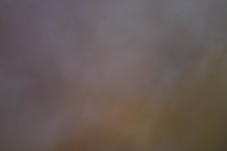 Abstract background, flowersの写真素材