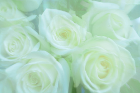 Abstract background, flowersの写真素材