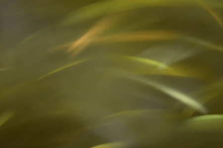 abstract  backgroundの写真素材