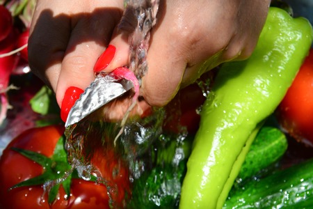 Fresh vegetables, cucumbers, tomatoes, peppersの写真素材