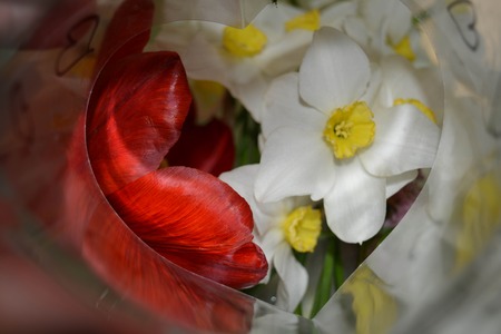 Natural flower background, heartの写真素材