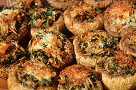 mushrooms, cannedの写真素材