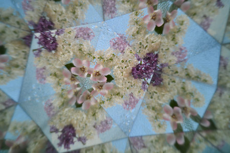 Natural background, kaleidoscope effect