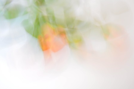 Abstract background, flowersの写真素材