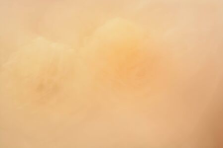 Abstract background, flowersの写真素材