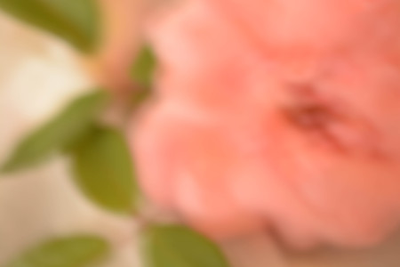 Abstract background, flowersの写真素材