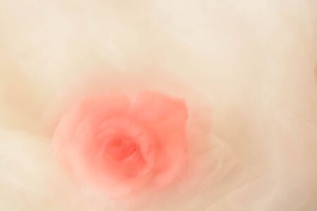 Abstract background, flowersの写真素材