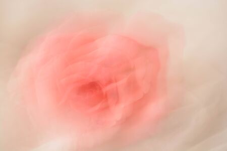 Abstract background, flowersの写真素材