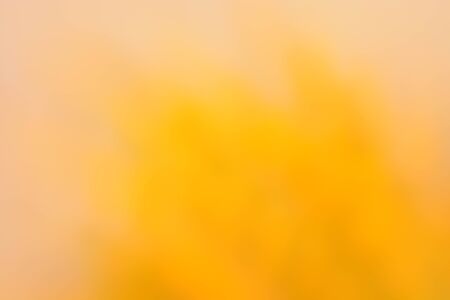 Abstract background, flowersの写真素材