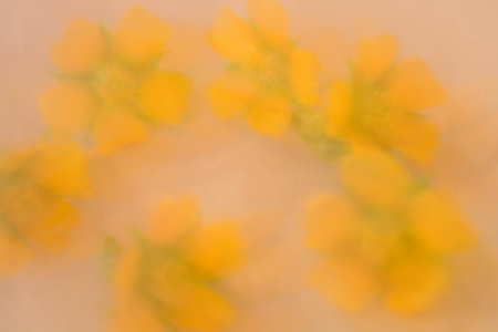 Abstract background, flowersの写真素材