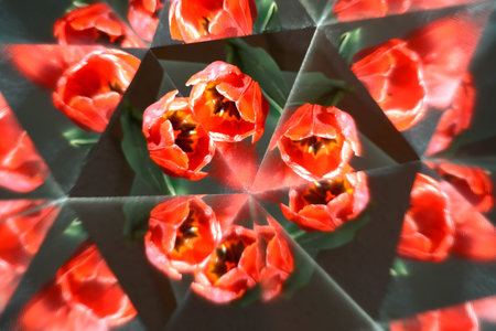 Abstract background, flowers, tulip, kaleidoscope effect