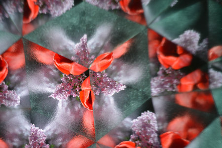 Abstract background, flowers, tulip, kaleidoscope effect