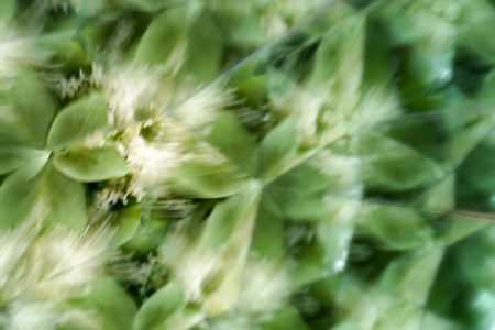 Natural background, kaleidoscope effectの写真素材