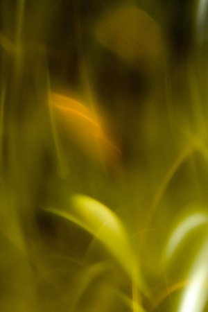abstract  backgroundの写真素材