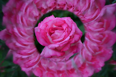 Natural background, kaleidoscope effectの写真素材