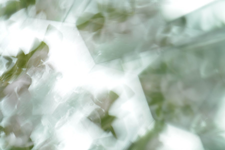 Abstract background, flowersの写真素材