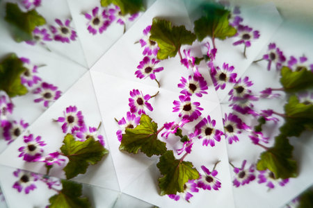 Natural background, kaleidoscope effect