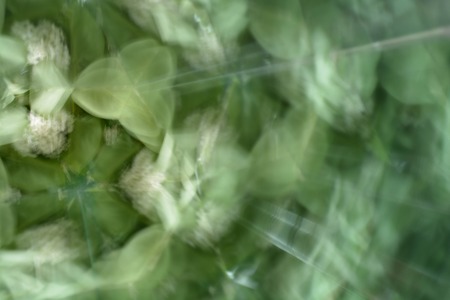 Abstract background, flowersの写真素材