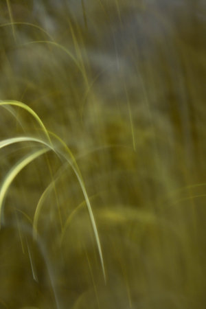 abstract  background