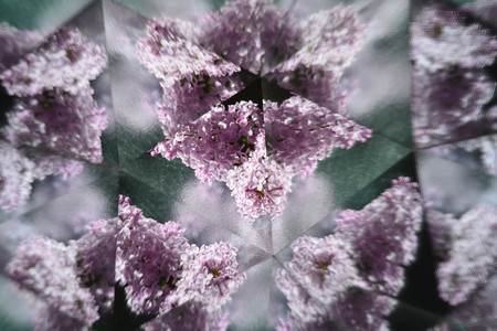Abstract natural background, kaleidoscope effect, flower, lilacsの写真素材