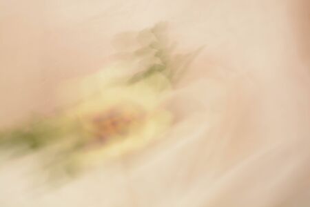 Abstract background, flowersの写真素材