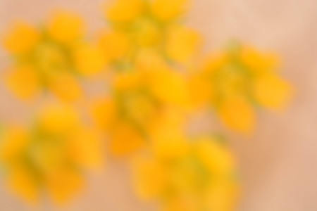 Abstract background, flowersの写真素材
