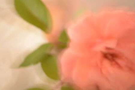 Abstract background, flowersの写真素材