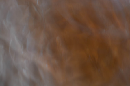 Abstract background, flowersの写真素材