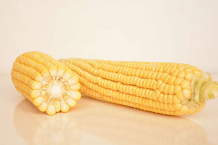Fresh corn on white backgroundの写真素材