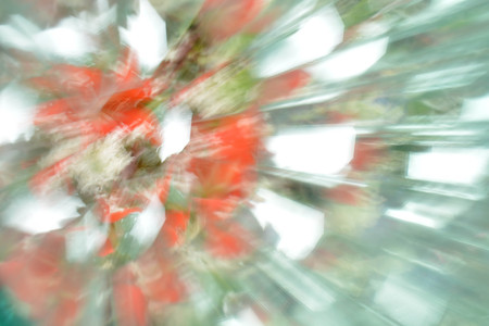 Abstract background, flowersの写真素材