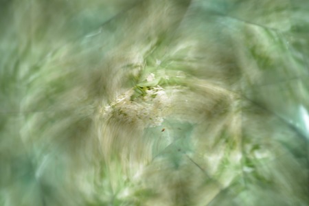 Abstract background, flowersの写真素材