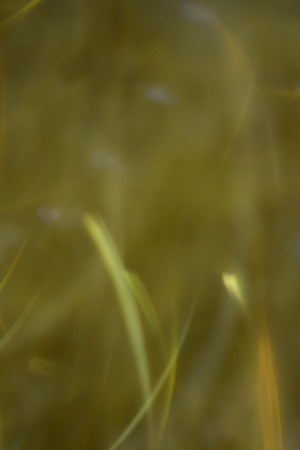 abstract  backgroundの写真素材