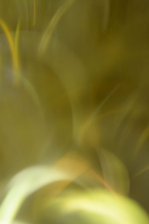 abstract  backgroundの写真素材